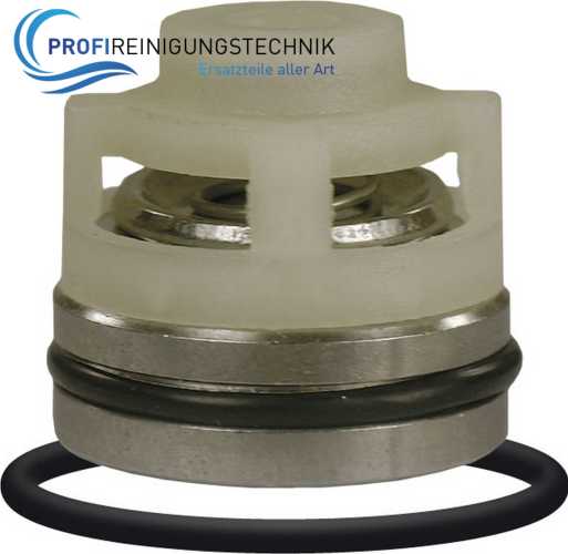 Ventile 6 Stück passend für Speck Hochdruckpumpen